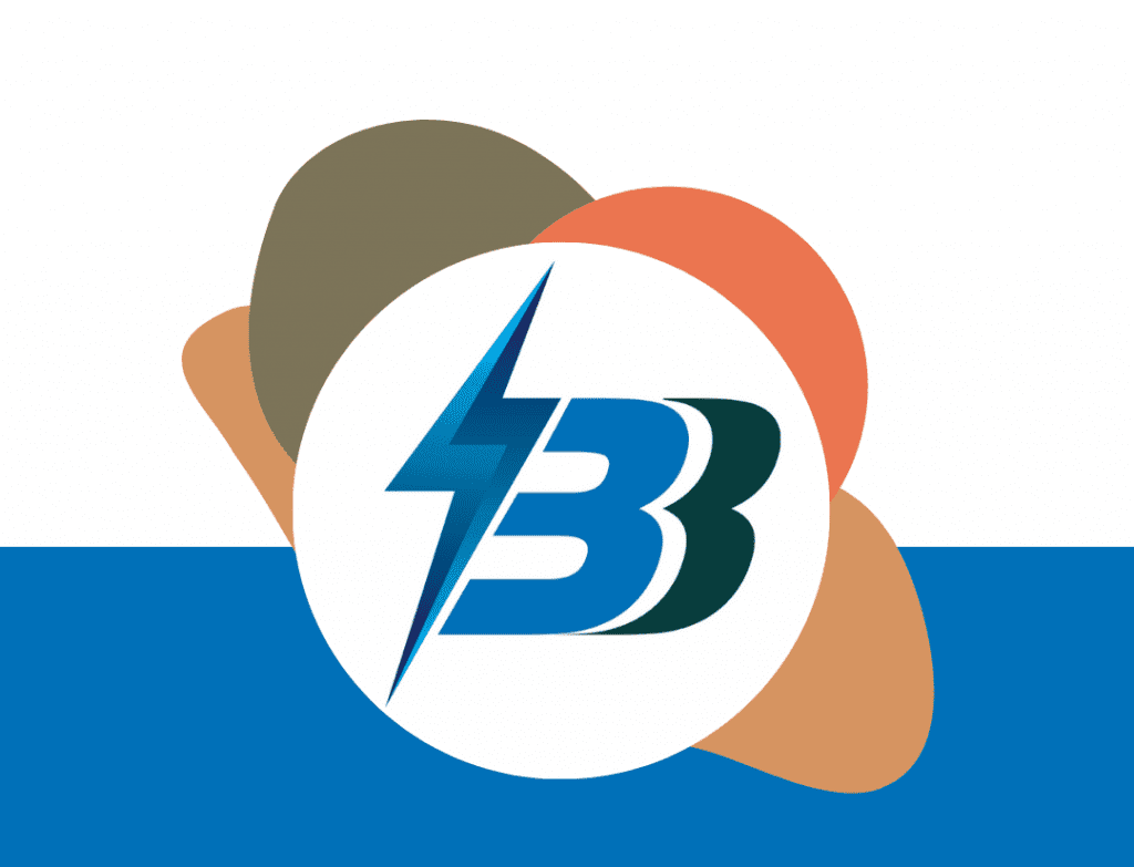Bizzbooster E-commerce service provider