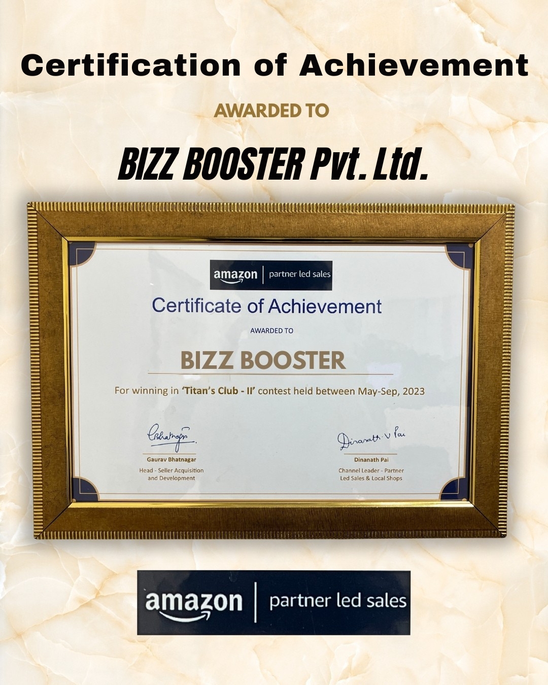 BIZZ BOOSTER.jpg (1)